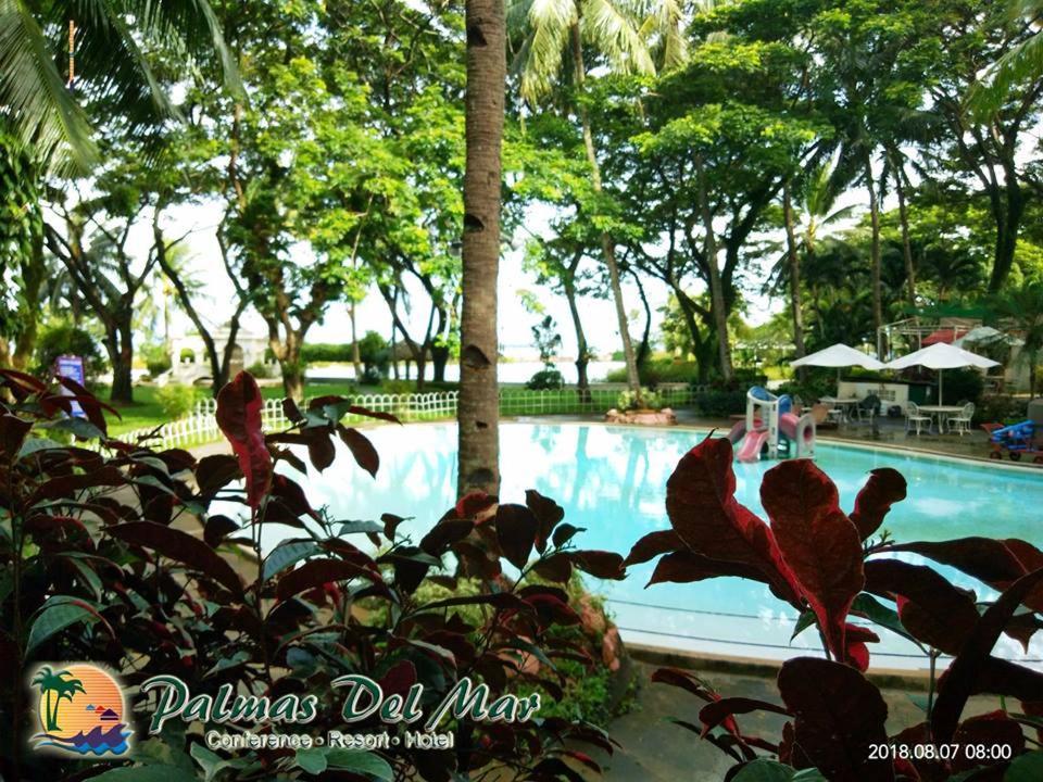 Palmas Del Mar Hotel Bacolod Exterior foto